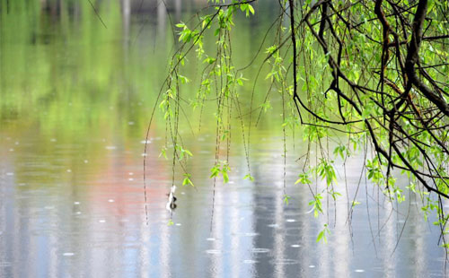 【新创洁环保】雨天温馨提示